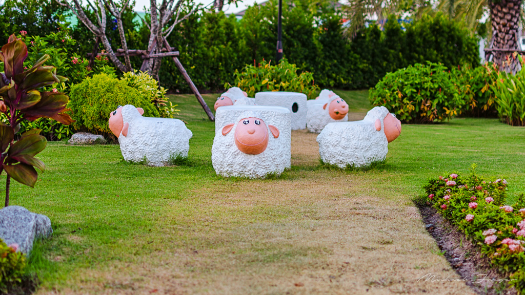 sheep-flock-1.jpg