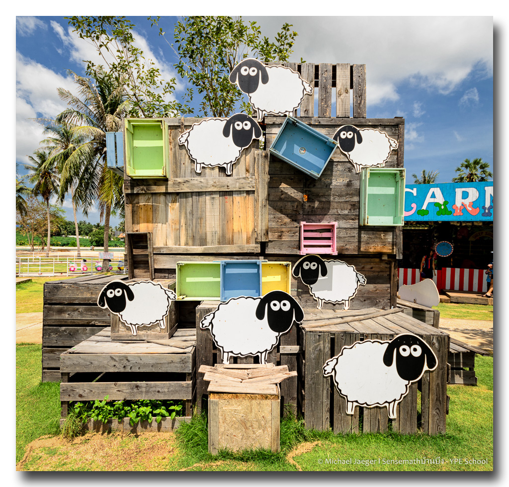 sheep-on-boxes.jpg