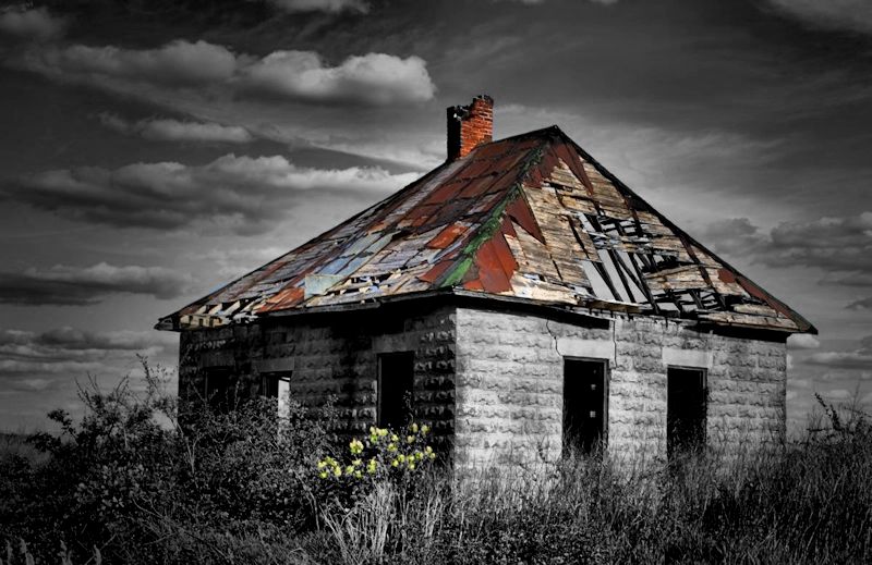sheep shack1200 selective.jpg