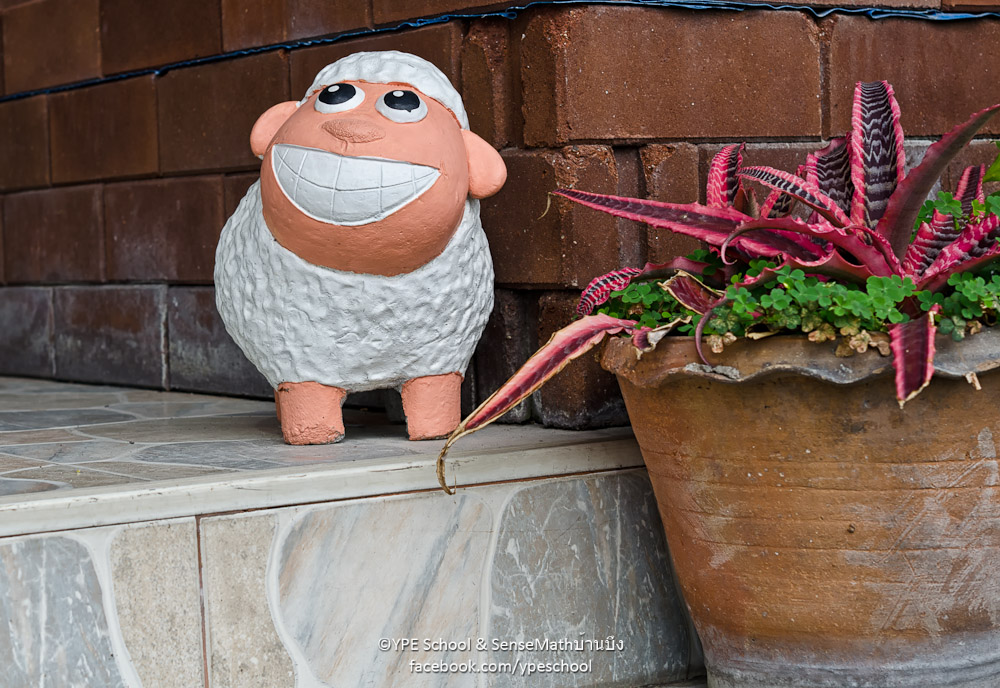 sheepy-1.jpg