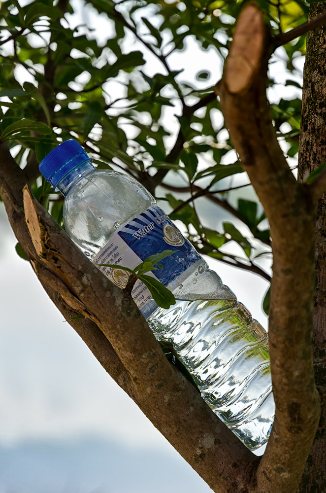 shelf-1.jpg