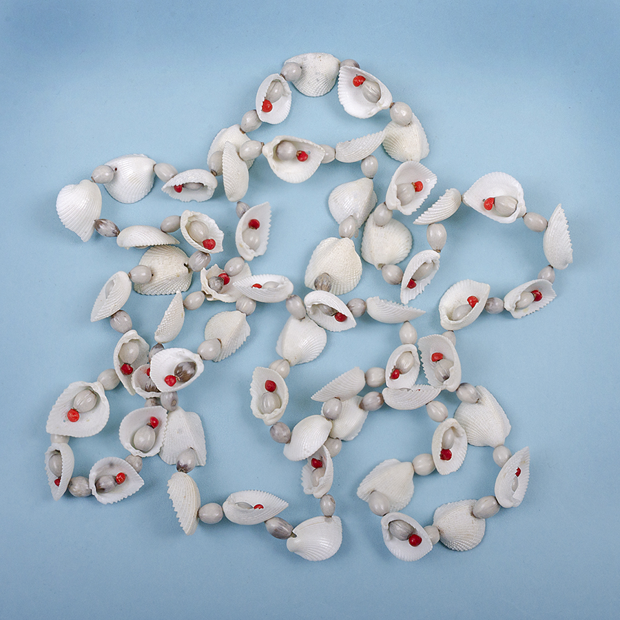 Shells.jpg