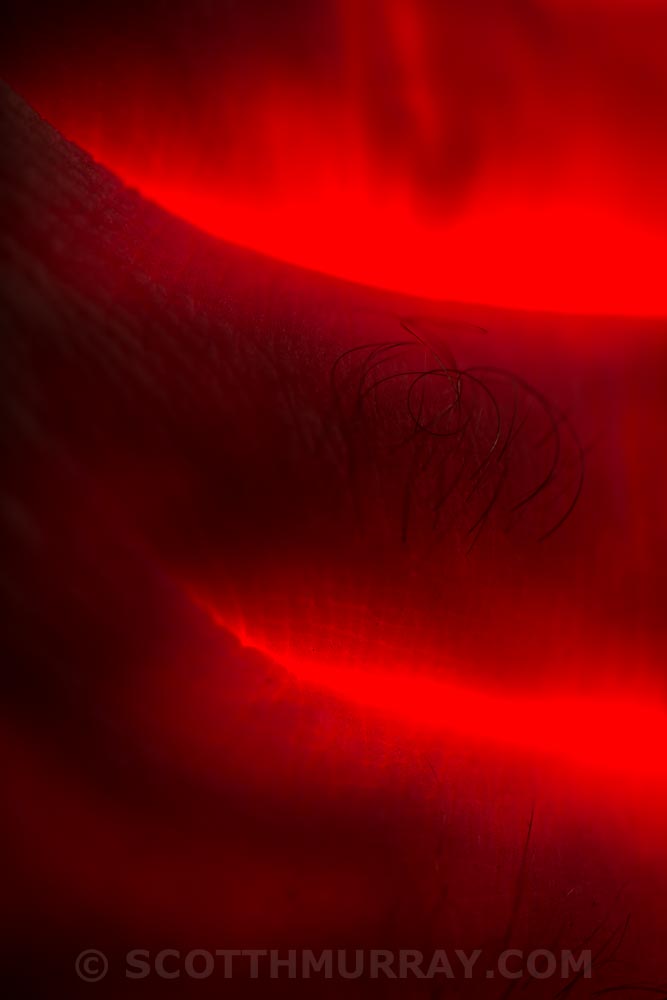 SHM_0373.jpg