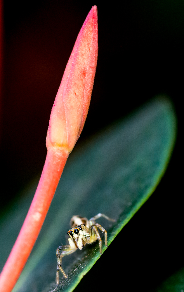 SHM_1207.jpg