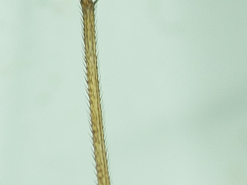 SHM_1340-2.jpg