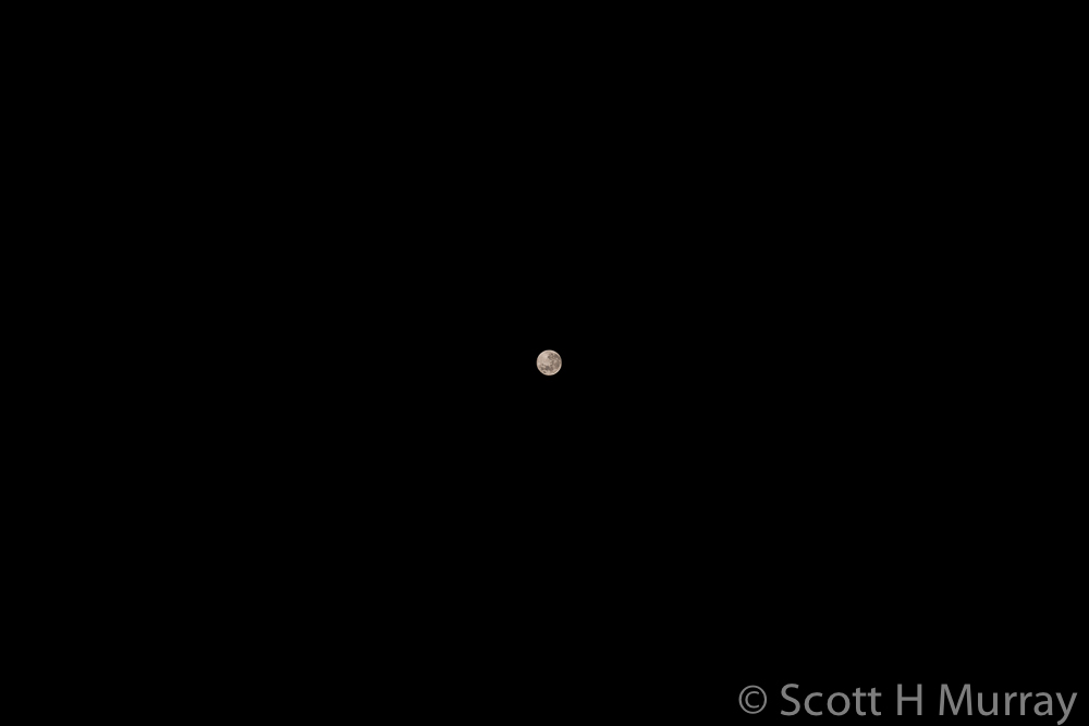 SHM_1484-2.jpg