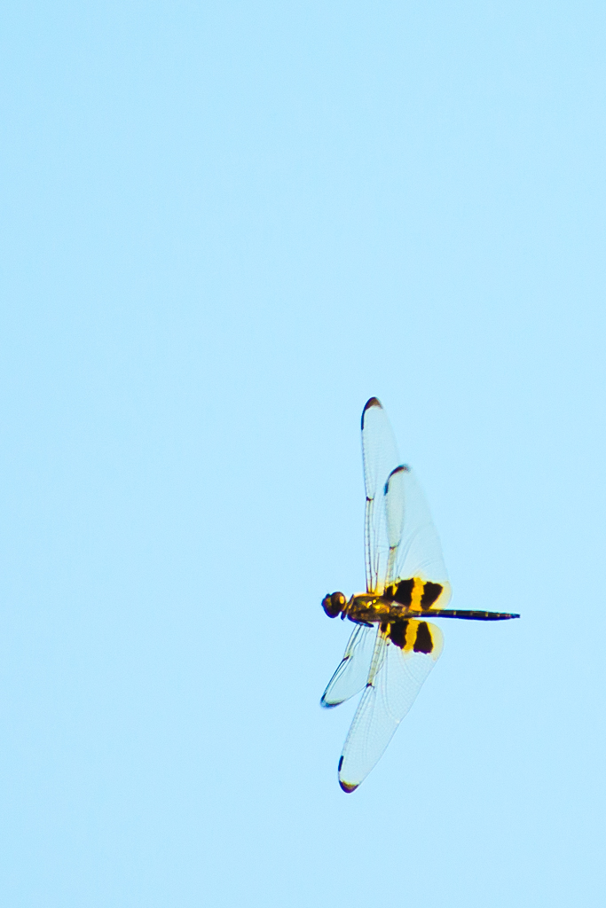 SHM_3895.jpg