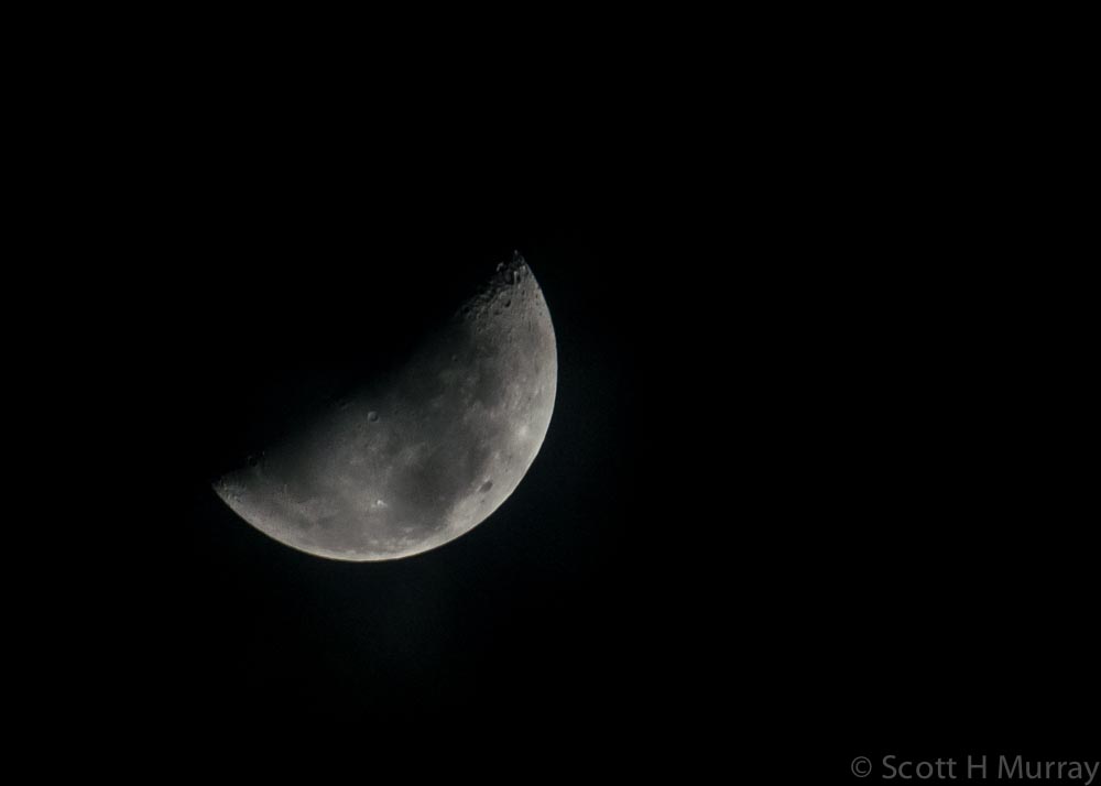 SHM_7856.jpg