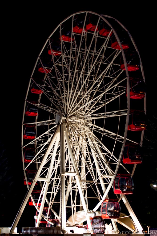 SHM_9915.jpg
