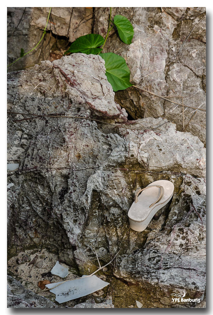 shoe.jpg