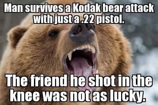 shot.jpg