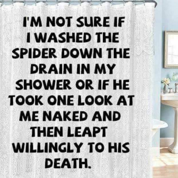 shower.jpg