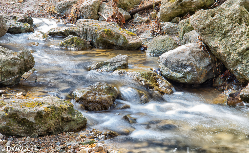Silky Water Color (1 of 1).jpg