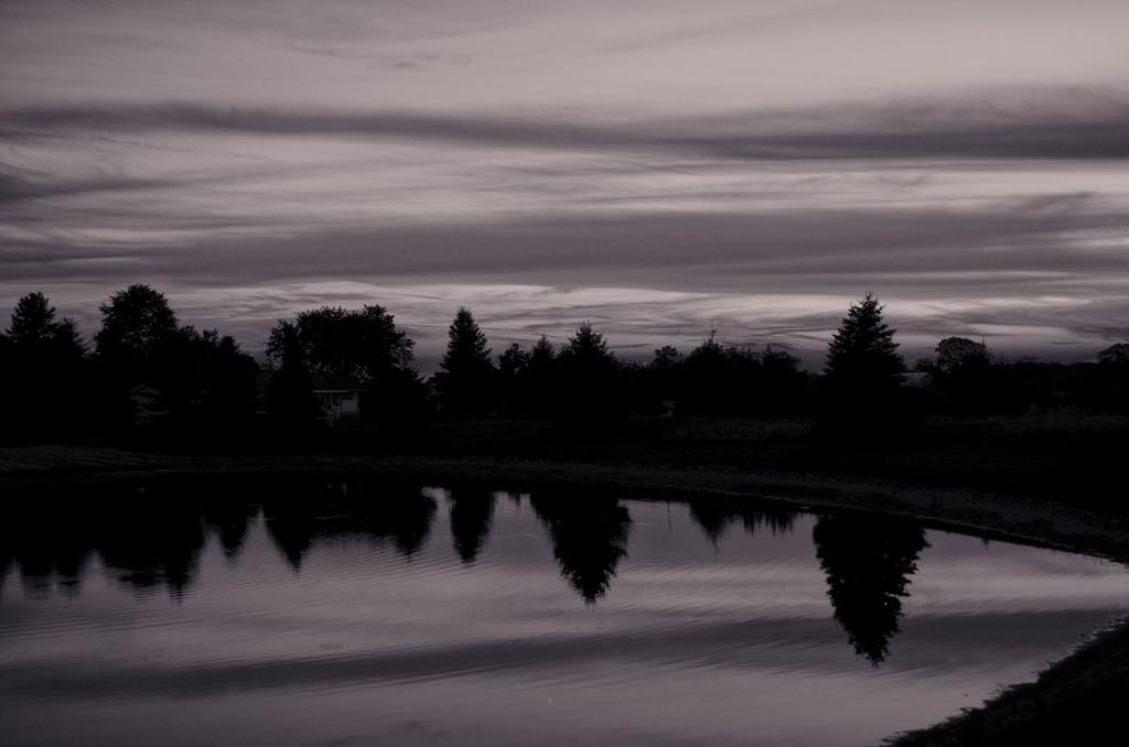 silver sunset1200.jpg