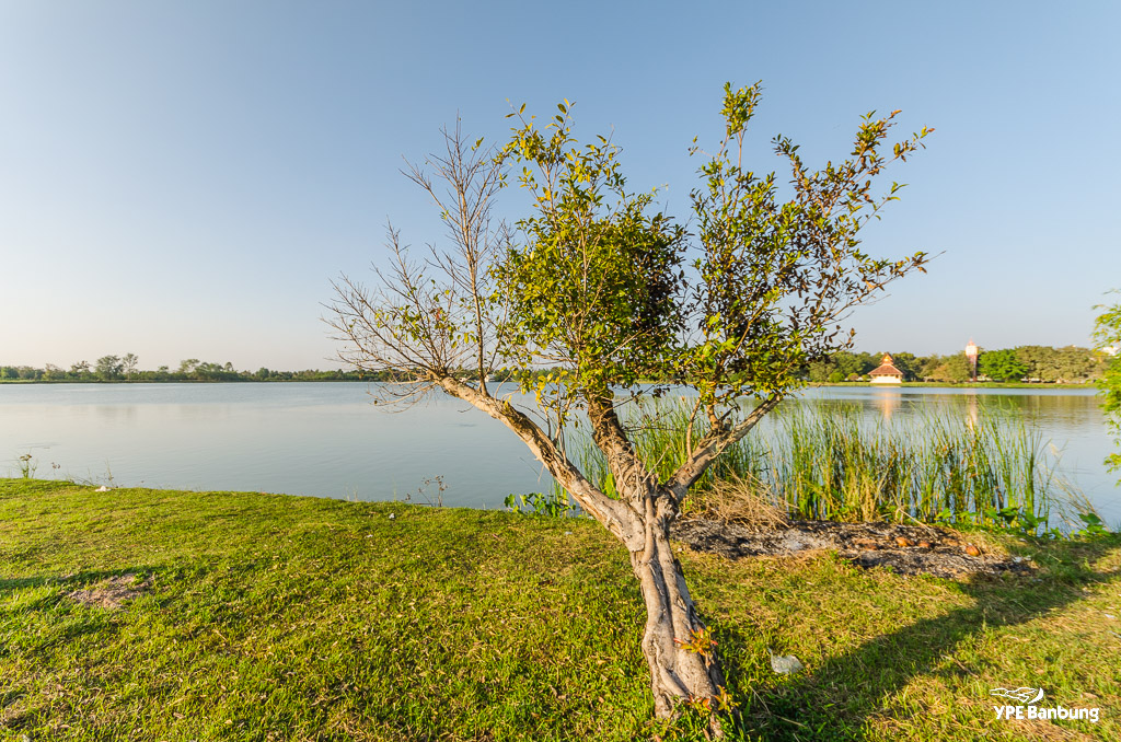 silverlake-pattaya-5.jpg