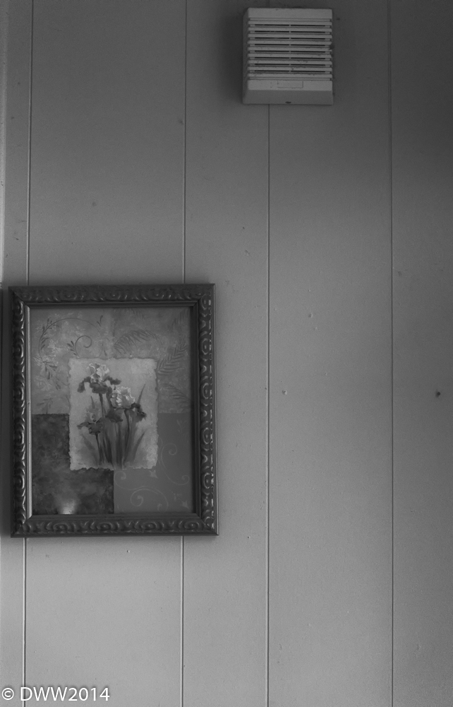 Simple Wall (1 of 1).jpg