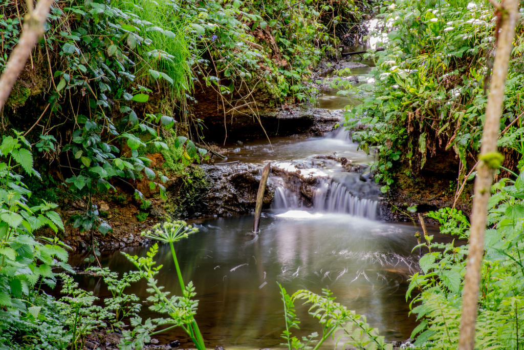 Sissighurst Castle & Gardens 3.jpg
