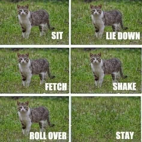 sit.jpg