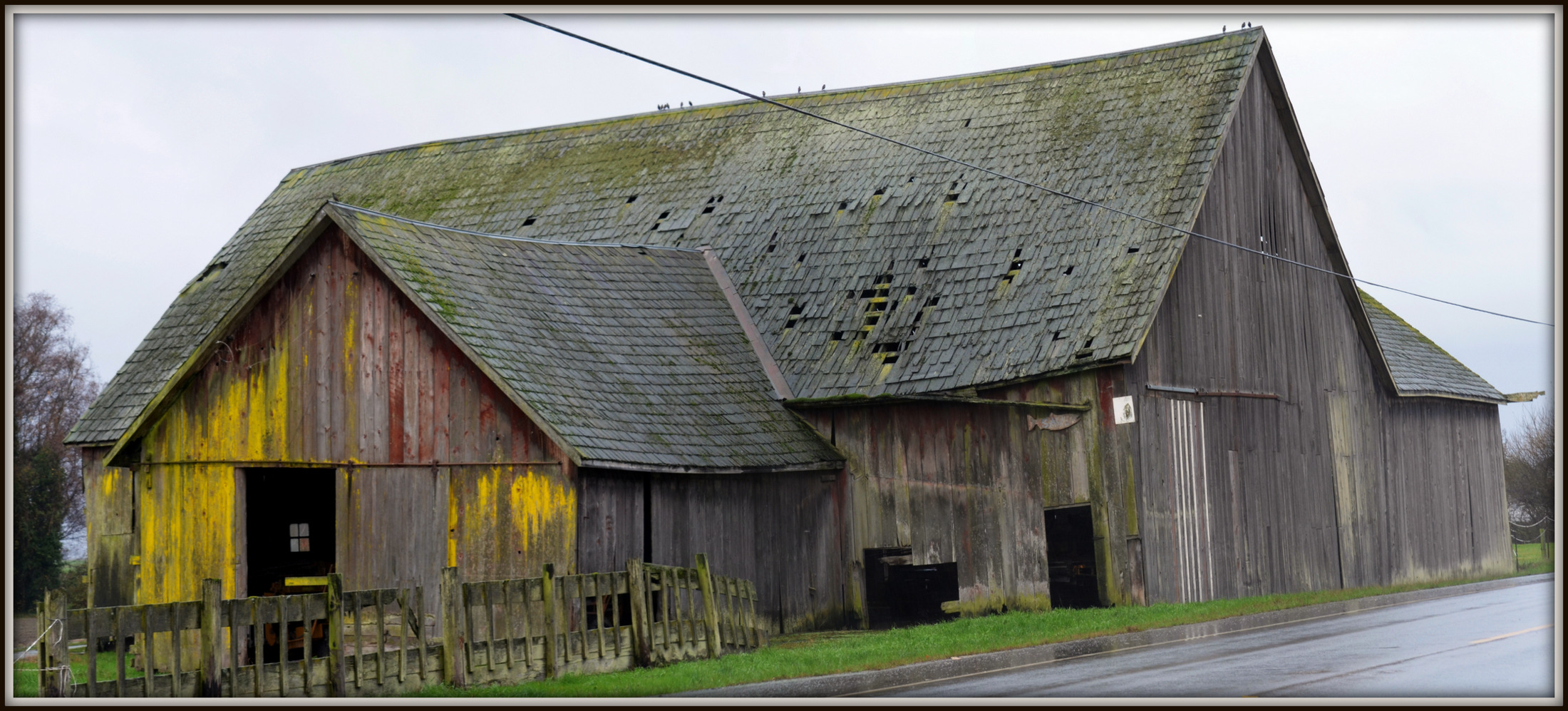 skagit 2 015 Stitch.jpg