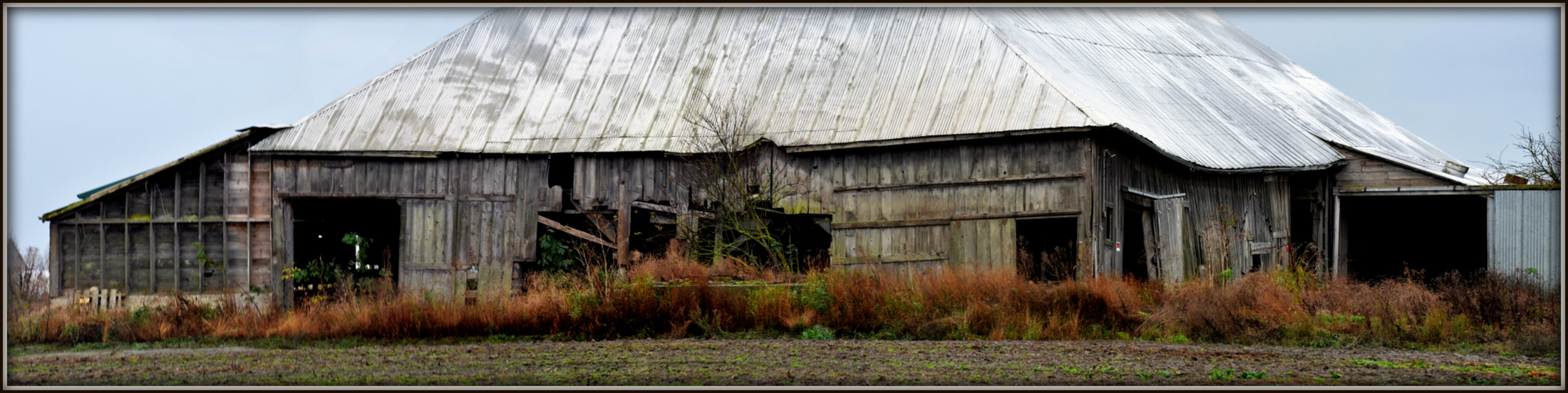 skagit 2 025 Stitch.jpg