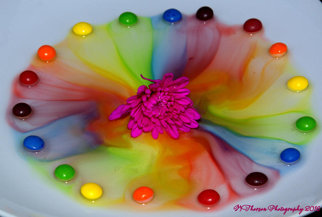 Skittles and Mums #5 9-25-2016.jpg