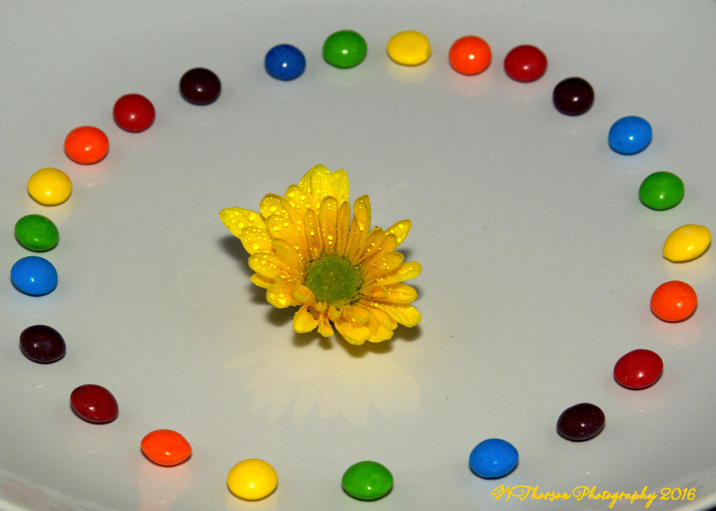 Skittles and Mums 9-25-2016.jpg