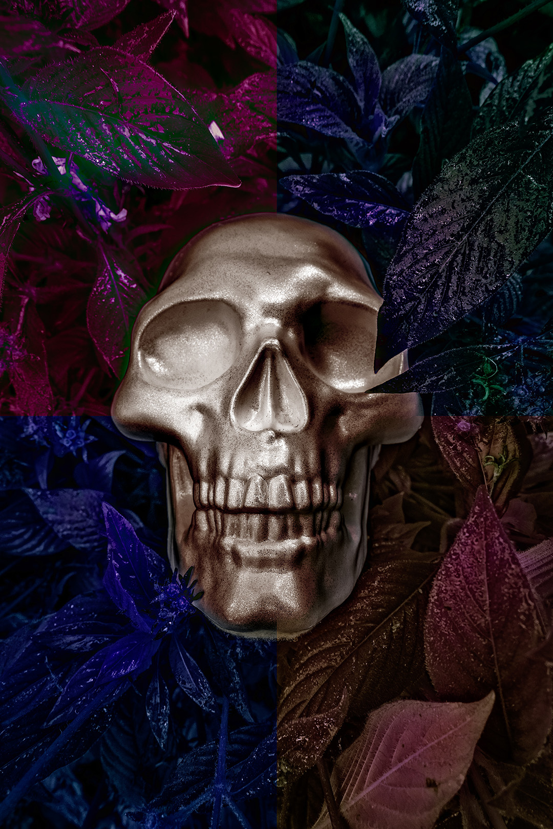 Skull Leaves Color.jpg