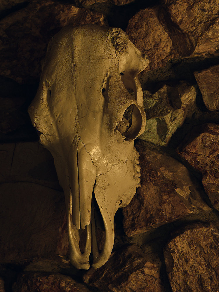 Skull2.jpg