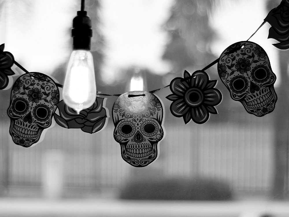 Skulls.jpg
