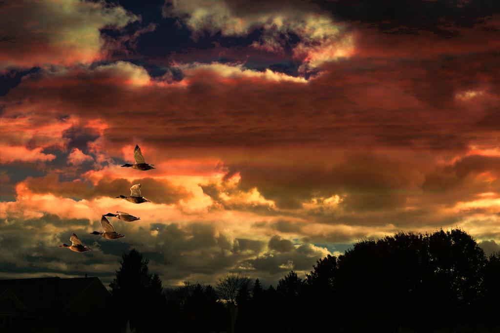 SKY 5_pe 5 - Copy.jpg