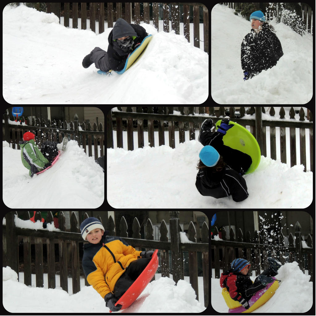 sled collage.jpg