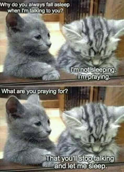 sleep.jpg
