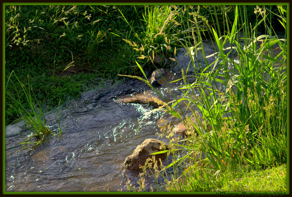 Small Creek.jpg