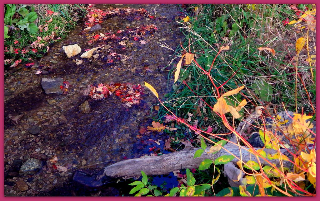 Small Stream in the Mountains.jpg
