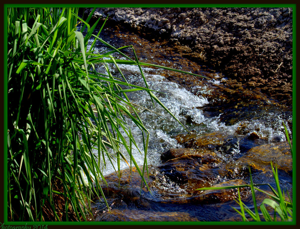 Small Stream.jpg