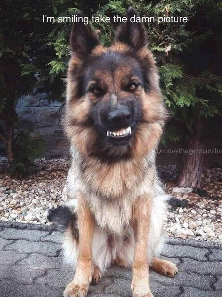 smile.jpg