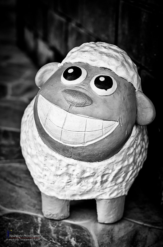 smileb-1.jpg
