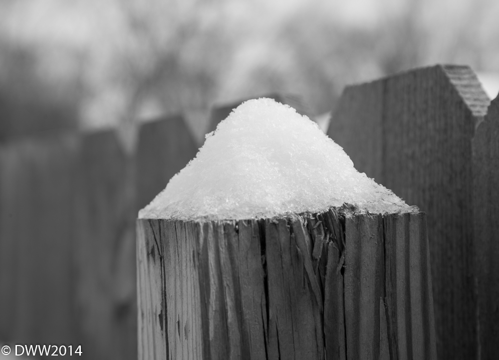 Snow cap.jpg