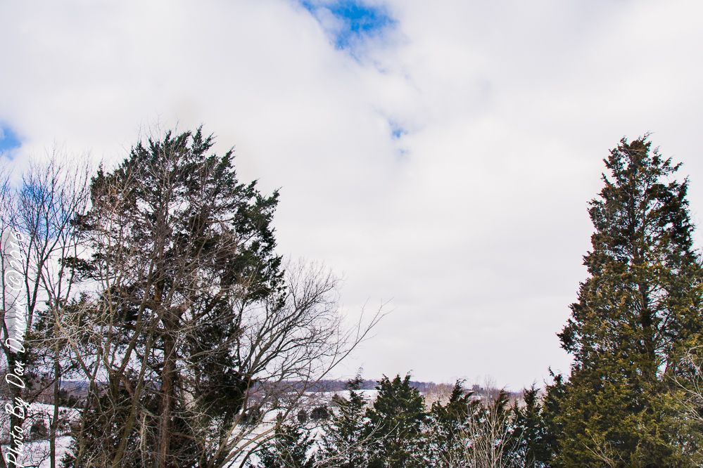 Snow Day-2384.JPG