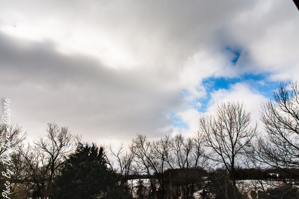 Snow Day-2389.JPG