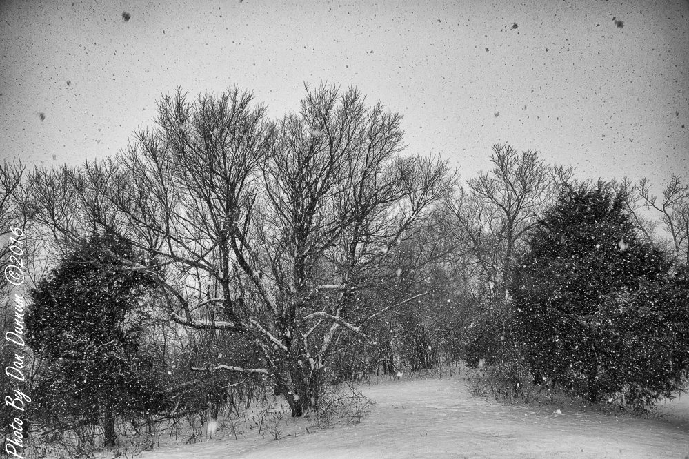 Snow Event-1843-Edit.JPG