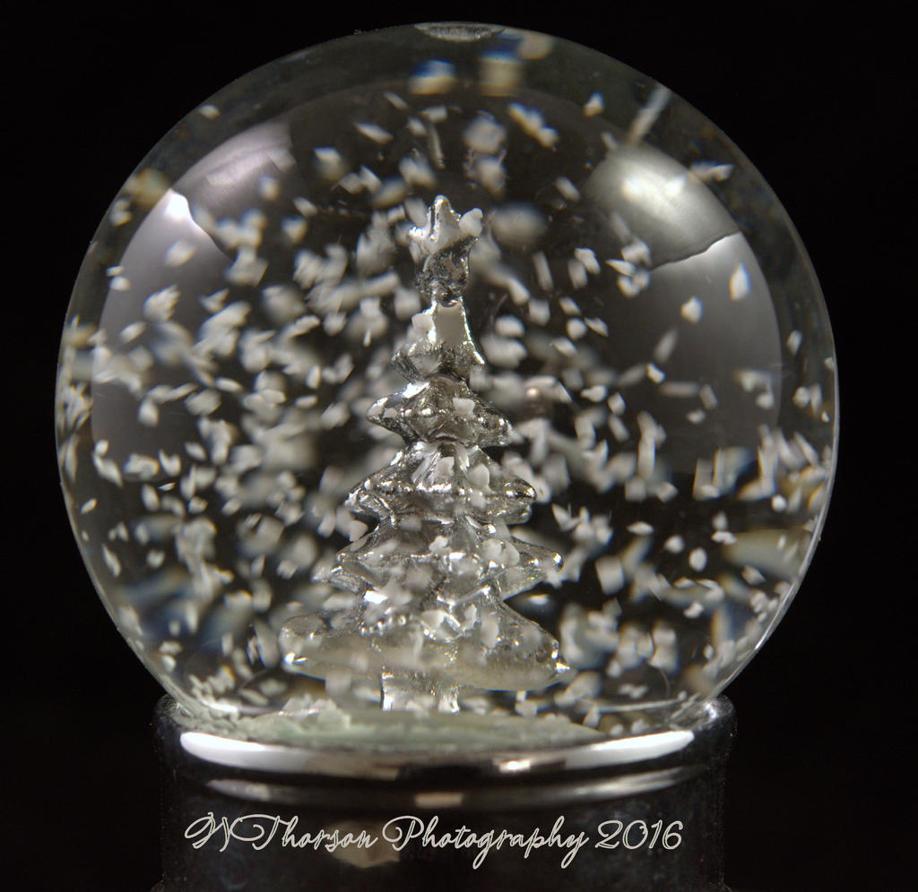 Snow Globe 12-4-2016.jpg