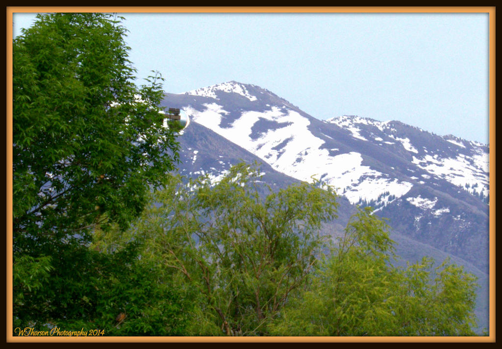 Snow Horse Mountain 5-17-2014 2.jpg
