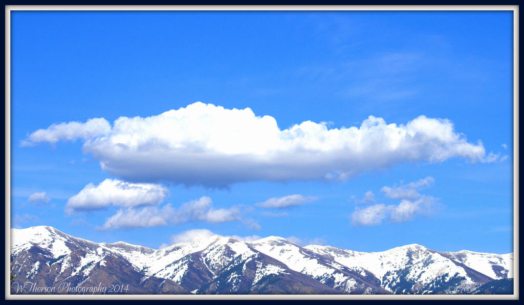 Snow Horse Spring.jpg