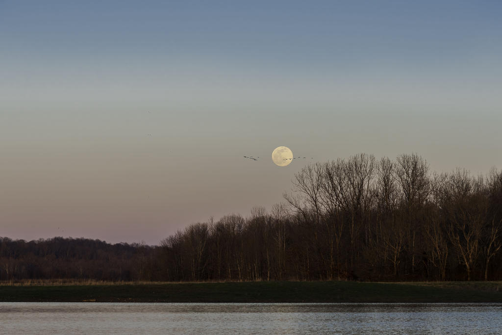 Snow Moon and Geese-R81_1632-Edit.jpg