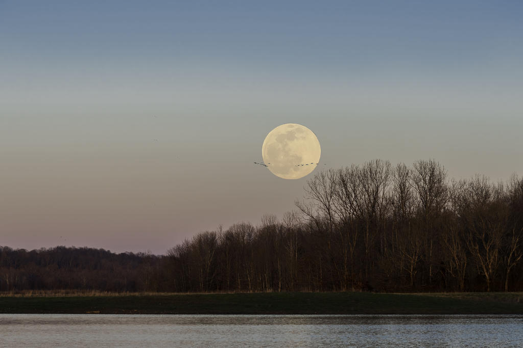 Snow Moon and Geese-R81_1632-Edit2.jpg
