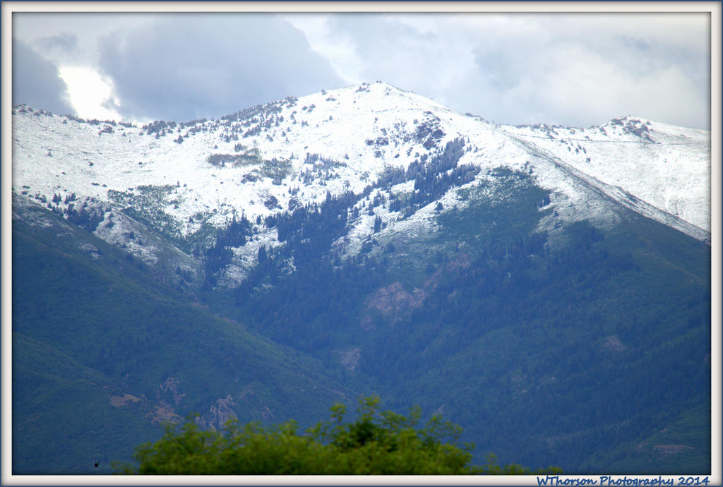 Snow on the Mountain in June.jpg