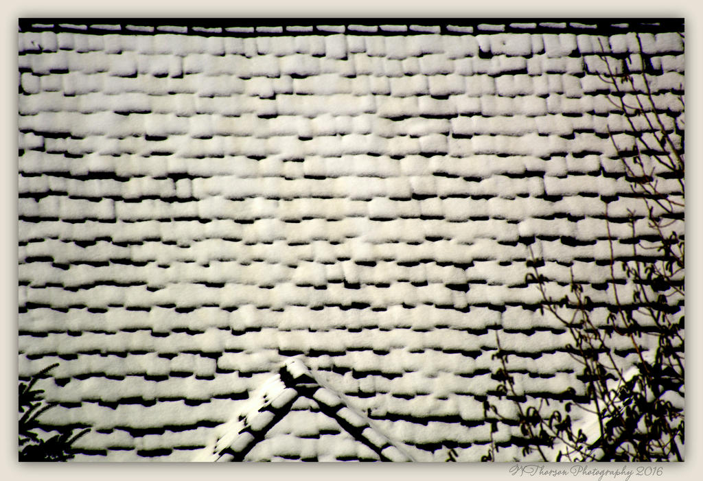 Snow on the Roof 3-29-2016.jpg