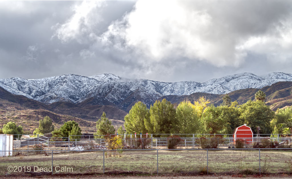 snowcaps N 500_0886.jpg