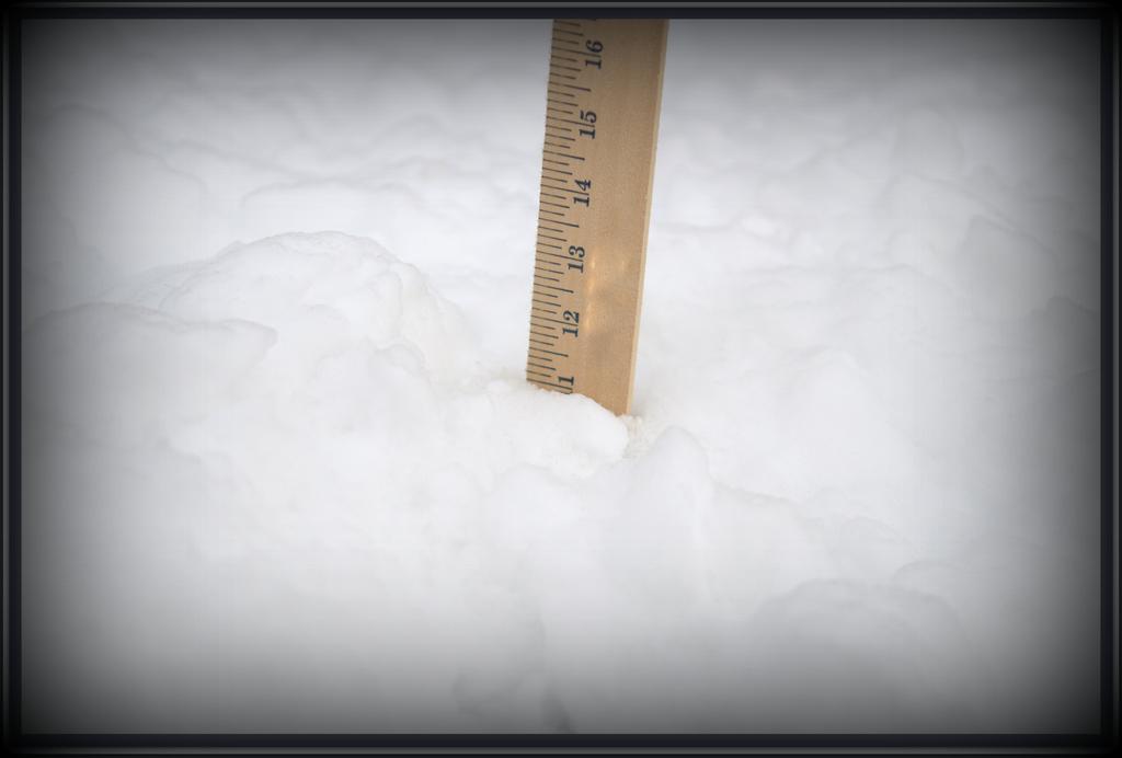 Snowfall 12-29-2014.jpg